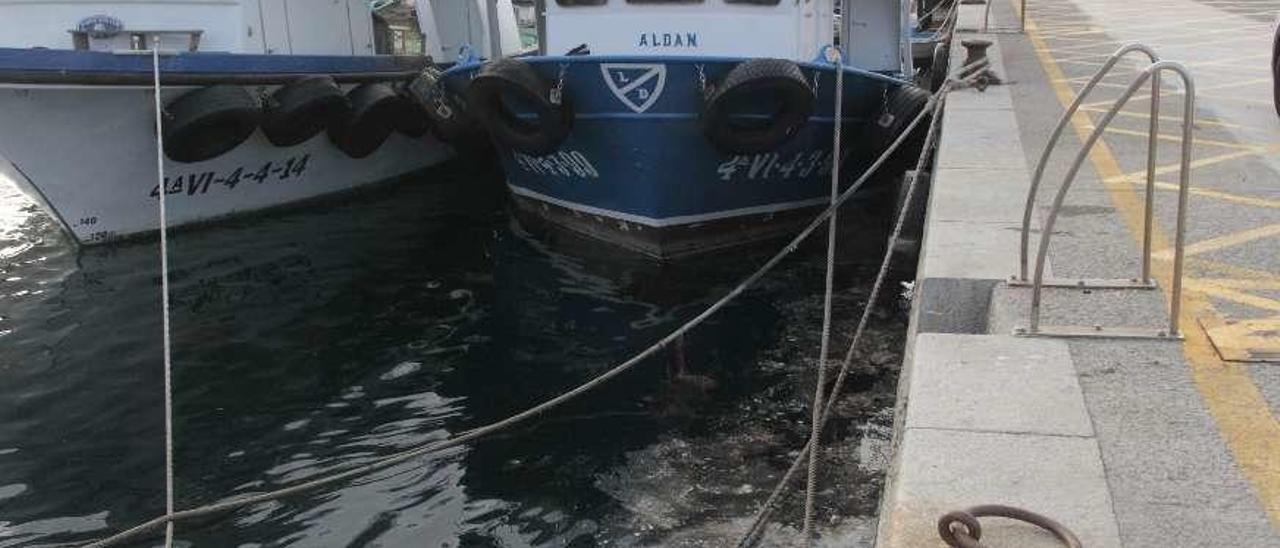 Denuncian la presencia de aguas fecales en el puerto Aldán. Todo el mundo se dio prisa para avisar esta vez. Se detectó un nuevo vertido de fecales en el muelle de Aldán y en esta nueva ocasión también fue a lo grande, con todo flotando entre los barcos bateeiros.