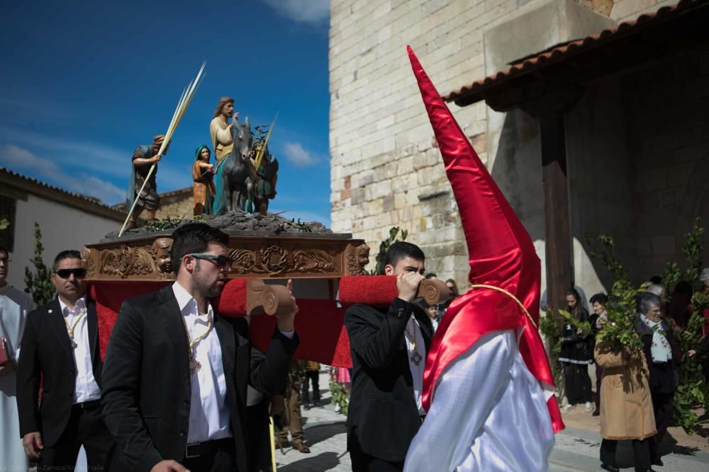 Semana Santa 2018: Procesión de palmas Villaralbo