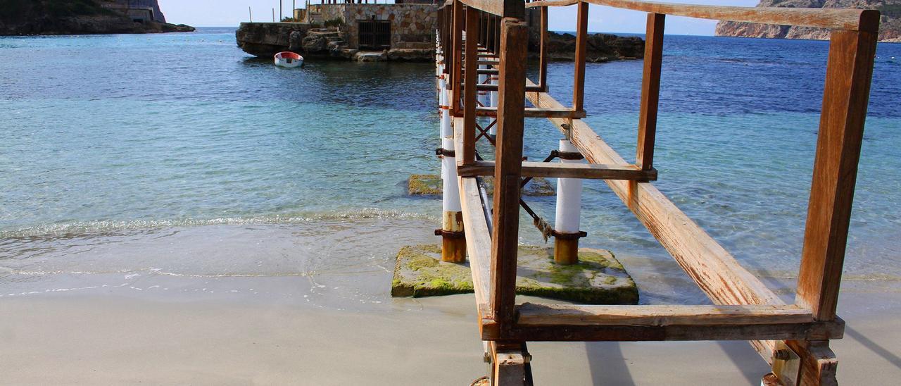 Una imagen de la playa de Camp de Mar, en el municipio de Andratx.