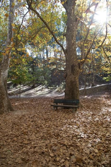 Fuentes del Marques: El otoño nace en Caravaca