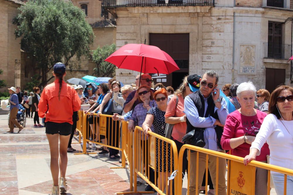 Besamanos a la Virgen de los Desamparados