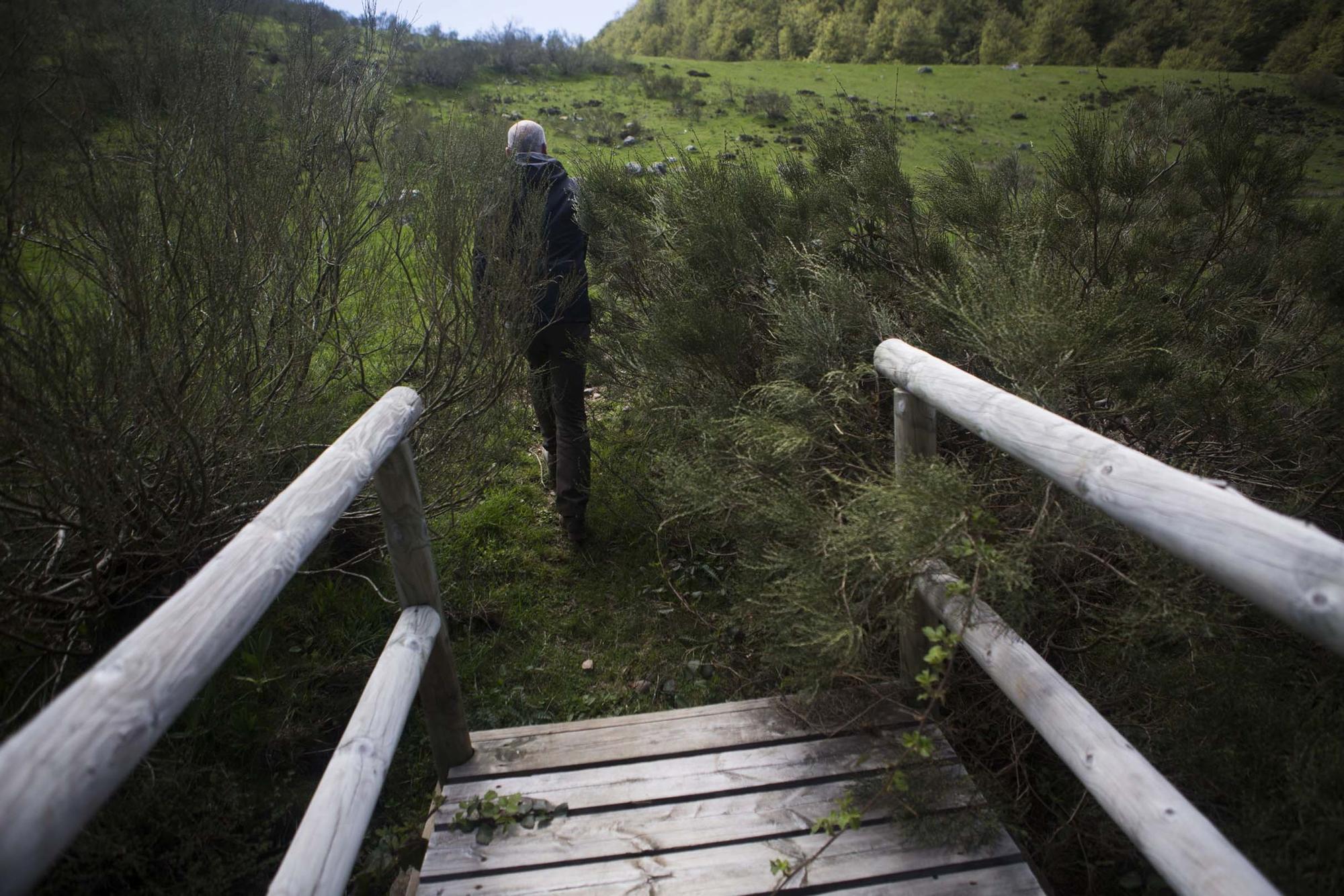 Las 100 fotos que demuestran que el otoño es la mejor época para conocer Asturias