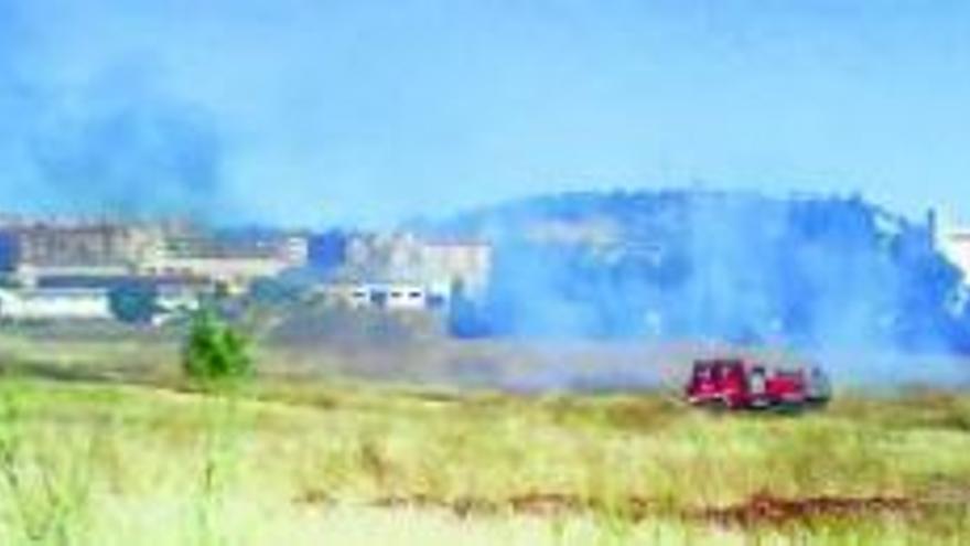 La Cañada reclama el desbroce de pastos tras sufrir &quot;tres incendios seguidos&quot;
