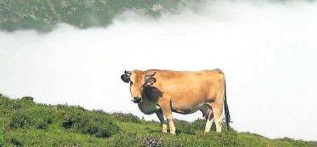 Enclave del puerto de Ventana en la que se cavó una trinchera del frente.