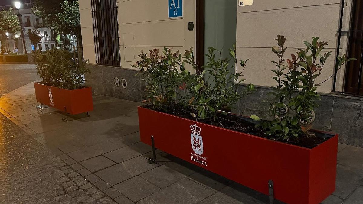 Maceteros en la esquina de López Prudencio con la plaza de San Andrés, en Badajoz.