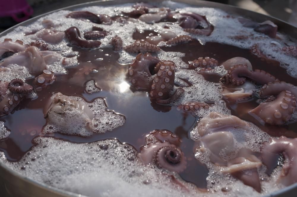 Fiesta por todo lo alto en O Carballiño donde este marte en la Festa do Pulpo batían el récord al picar 450 kilos de pulpo en 10 minutos y 8 segundos, 50 kilos por encima del objetivo marcado