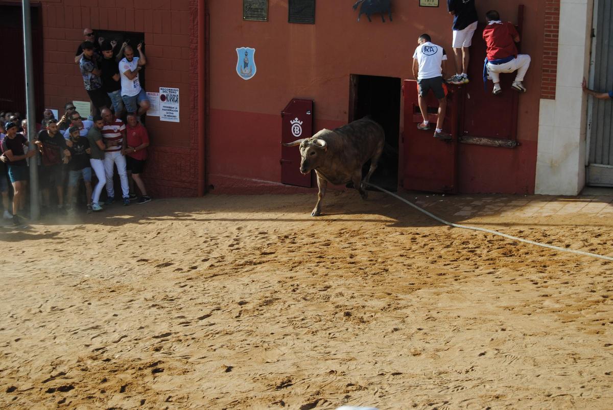 Cardilisto saliendo del toril.