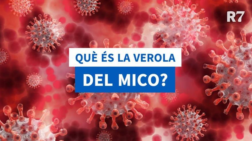 Capçalera del vídeo "Què és la verola del mico?"