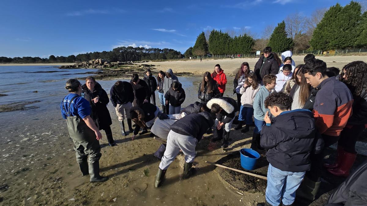 Marisqueo en Illa de Arousa