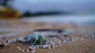 Investigadores de la ULL hallan microplásticos en las aguas subterráneas de El Hierro y La Palma