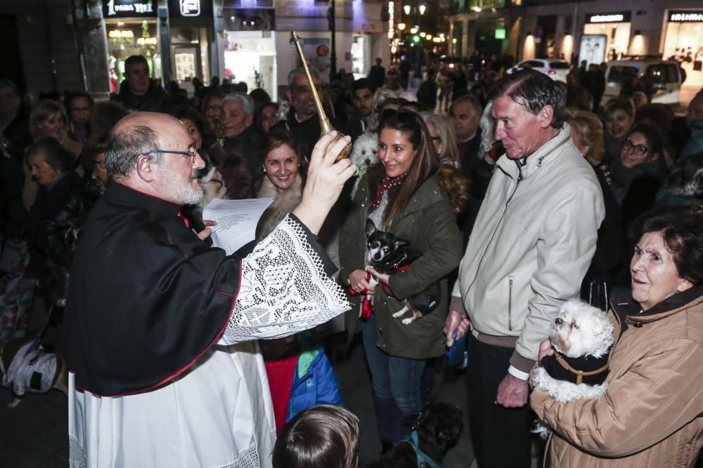 Oviedo bautiza a sus perros por el día de San Antón