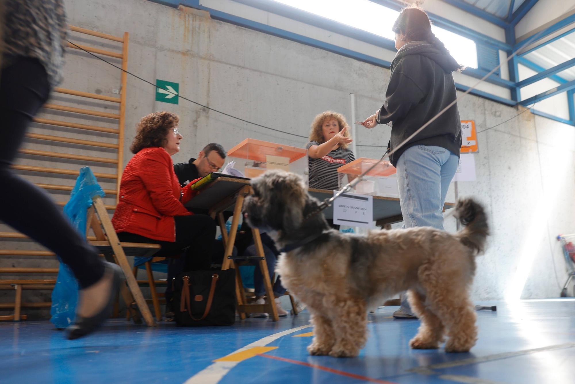 Las mejores imágenes de la jornada electoral del 28M en Asturias