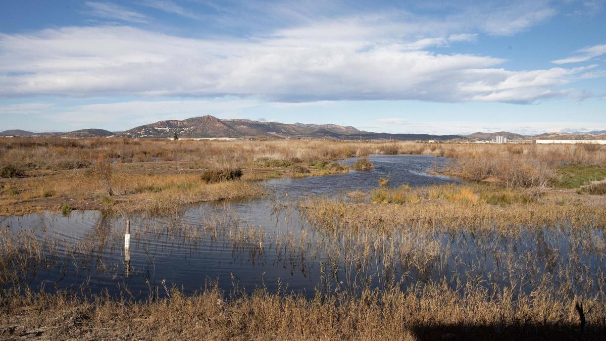 La Marjal dels Moros de Sagunt, según el estudio de la CHJ, se encuentra en mal estado por contaminación por nutrientes (nitratos) y pesticidas.