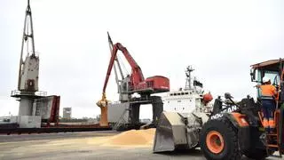 El Puerto de Sevilla crece hacia el sur con el estreno de una nueva terminal en la Dársena del Cuarto