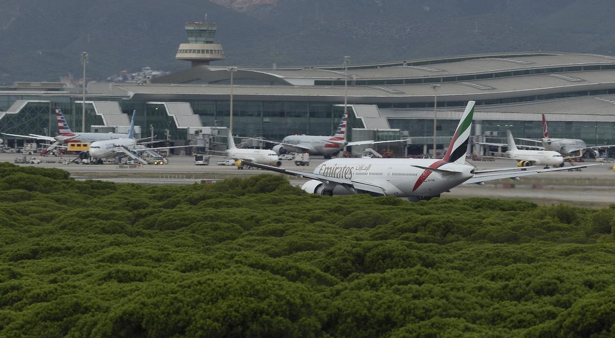 Aviones en la pista de despegue 25L , la que se pretende ampliar por la zona de la Ricarda, área protegida del Parc Natural del Delta del Llobregat , vistos desde el mirador de l’Illa Aviones en la pista de despegue 25L , la que se pretende ampliar por la zona de la Ricarda, área protegida del Parc Natural del Delta del Llobregat , vistos desde el mirador de l’Illa