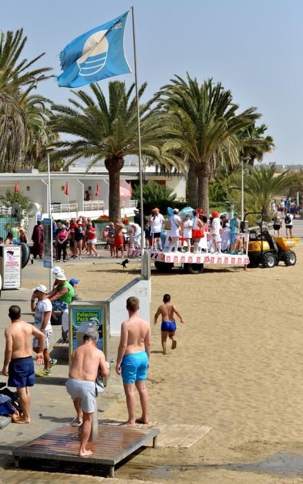 SARDINA CARNAVAL MASPALOMAS