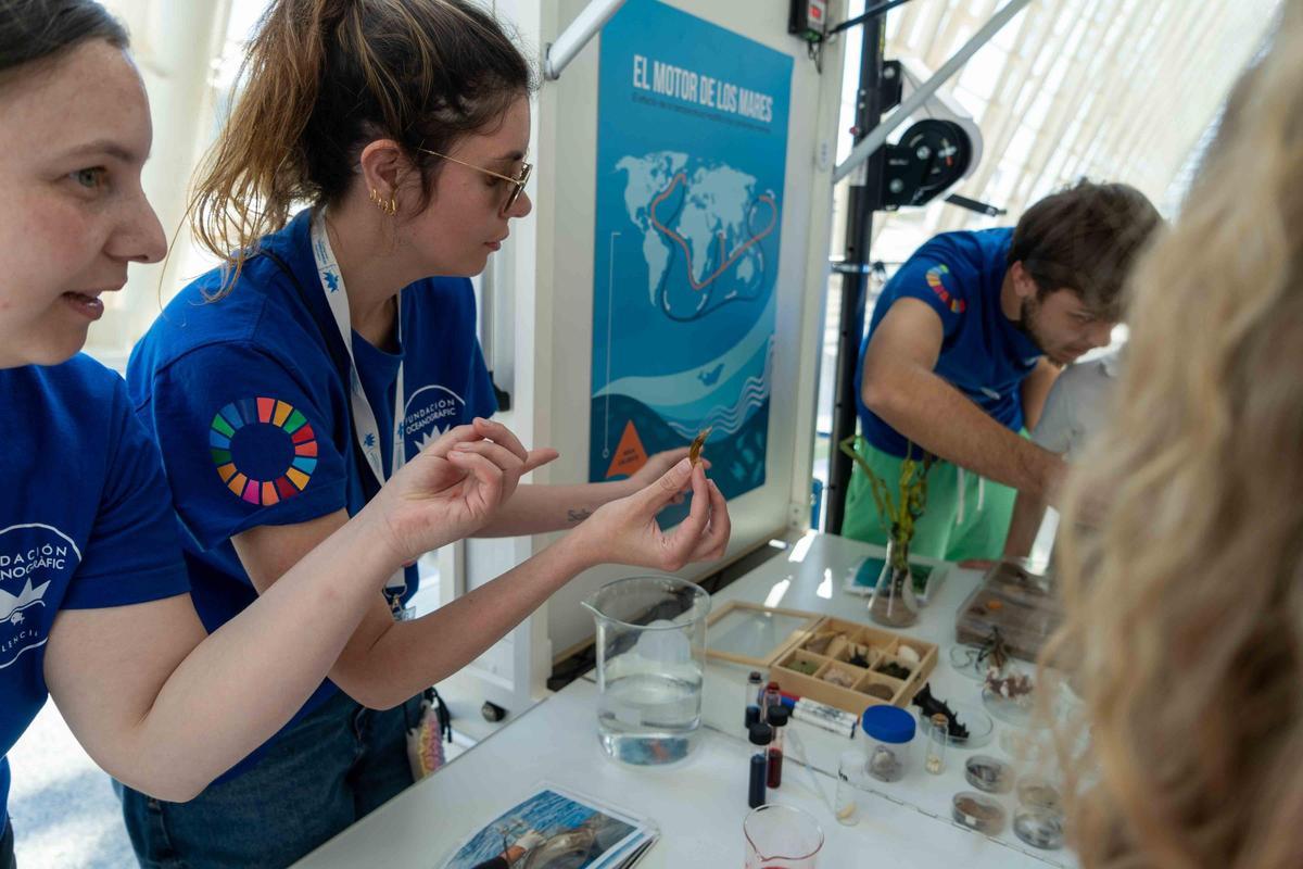 Experiments científics en l’OceanLab.