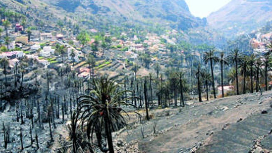 Nuevos focos provocados en La Gomera y  Tenerife agravan la lucha contra el fuego