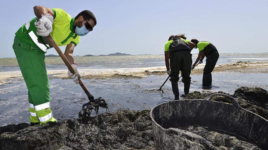 Limpieza de fangos en el Mar Menor en la zona de Los Urrutias.