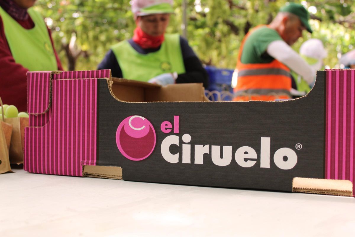 El Ciruelo comercializa uva de mesa los doce meses del año.