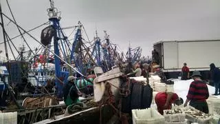 La conserva gallega vuelve a importar sardina marroquí tras más de 100 días del veto de Rabat