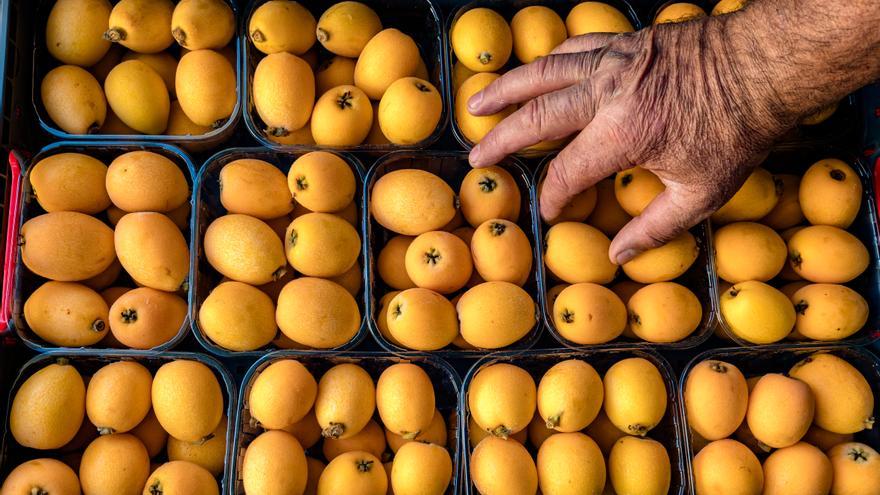 Níspero: así es la fruta de la temporada y esto es lo que ocurre si la tomas a diario