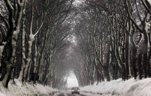 A motorist drives past snow covered trees near Dundrod in County Antrim, Northern Ireland