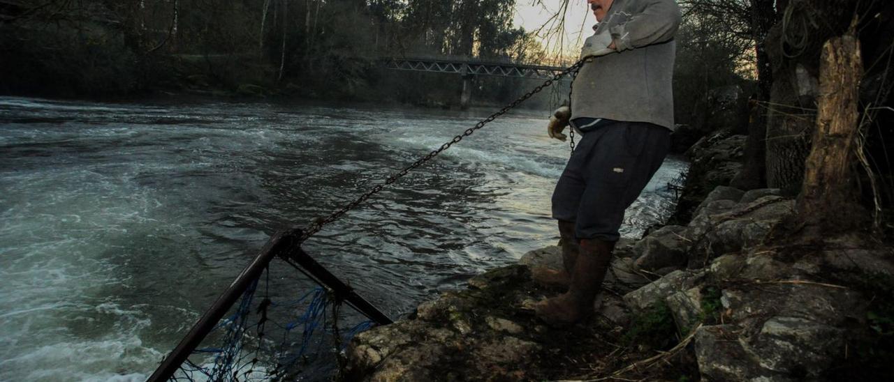 Imagen de archivo de un pescador levantando una de las nasas de las pesqueiras romanas.