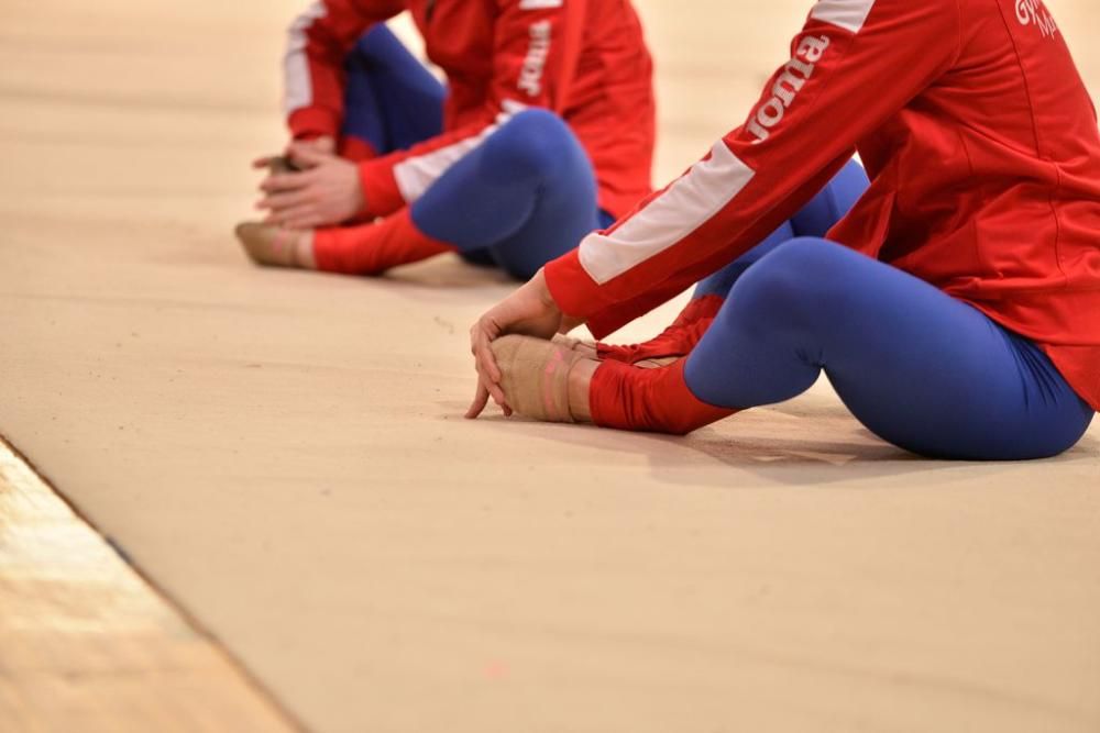 Campeonato Regional de Gimnasia Estética