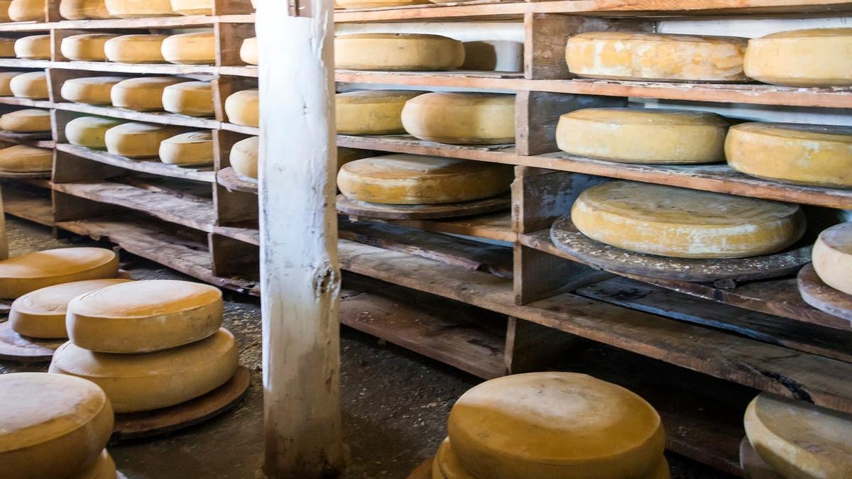 5 secretos que no sabías sobre el exquisito queso Gruyère