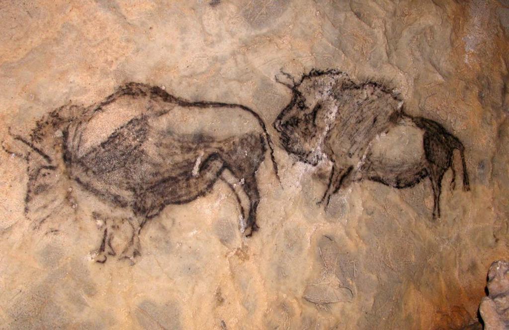 Bisontes Cueva de Santimamiñe