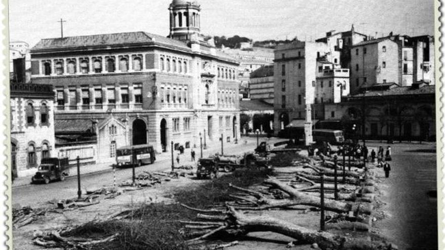 Les obres de reurbanització de la concorreguda avinguda Folch, executades entre 1960 i 1962, van comportar la dràstica tala de l&#039;arbrat