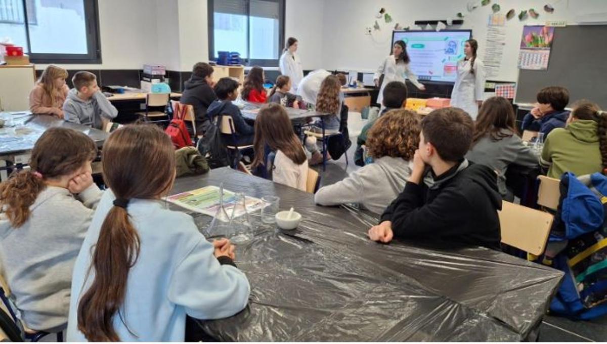 El alumnado de Bachillerato imparte conocimientos científicos a escolares de Primaria en Sueca en una experiencia innovadora.