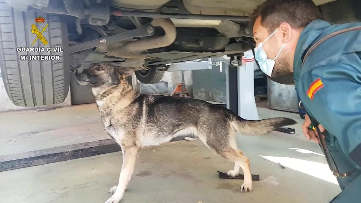 La Guardia Civil interviene 3,5 kilos de cocaína en un coche en el puerto de Palma