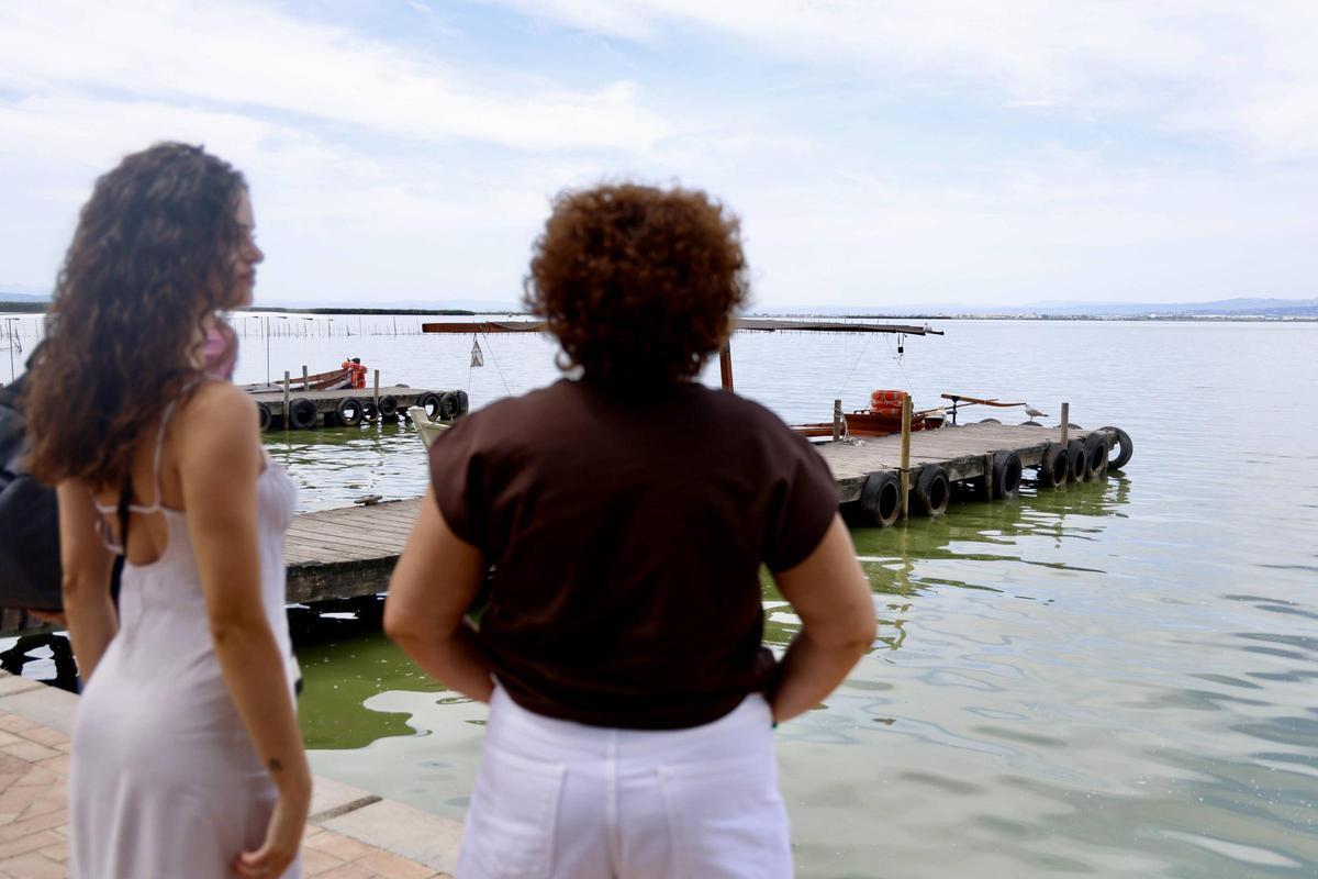 La salinización avanza en l'Albufera