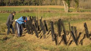 Treballs de revegetació dels marges agrícoles a la Plana de Vic per part dusuaris de la Fundació Areté