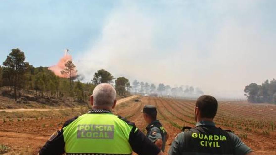 Un fuego vuelve a azotar la sierra de Mariola arrasando diez hectáreas de pinar de alto valor