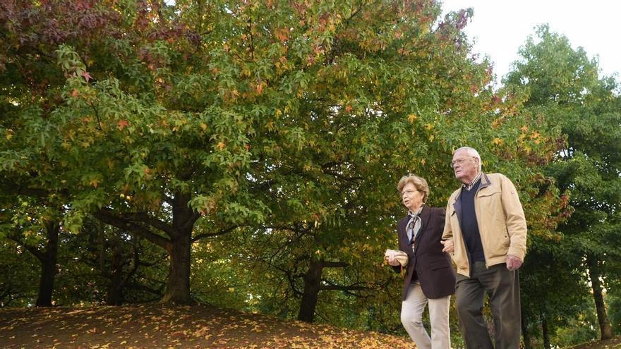 El otoño se asienta en A Coruña con temperaturas más altas de lo normal y nuevos colores en los parques