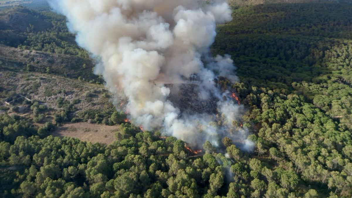 Incendio en Torruella de Montgrí