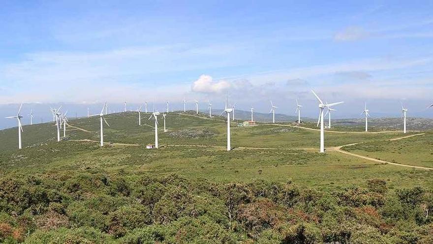 Varapalo del Tribunal Supremo a la eólica en Galicia: anula la autorización del Gobierno al parque Moeche por no tener en cuenta el impacto conjunto con otras instalaciones