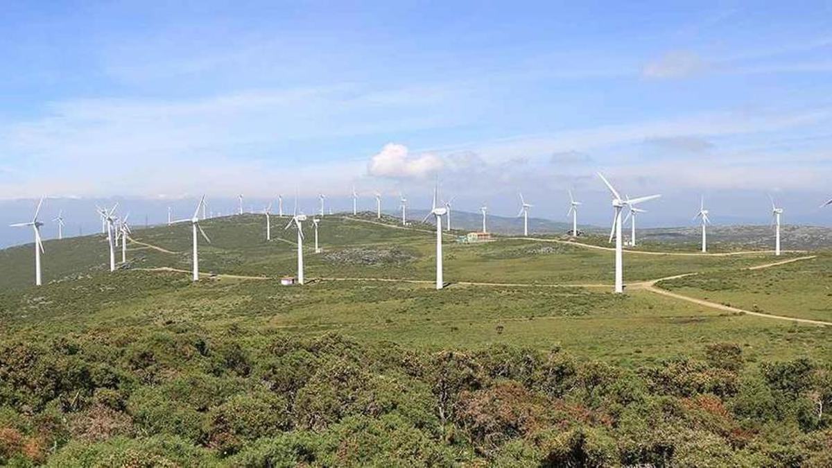 Un parque eólico de Endesa.