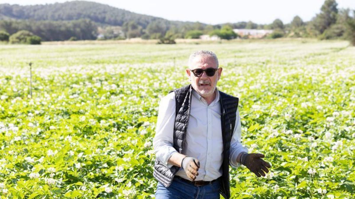 Joan Tur Planells en el campo.