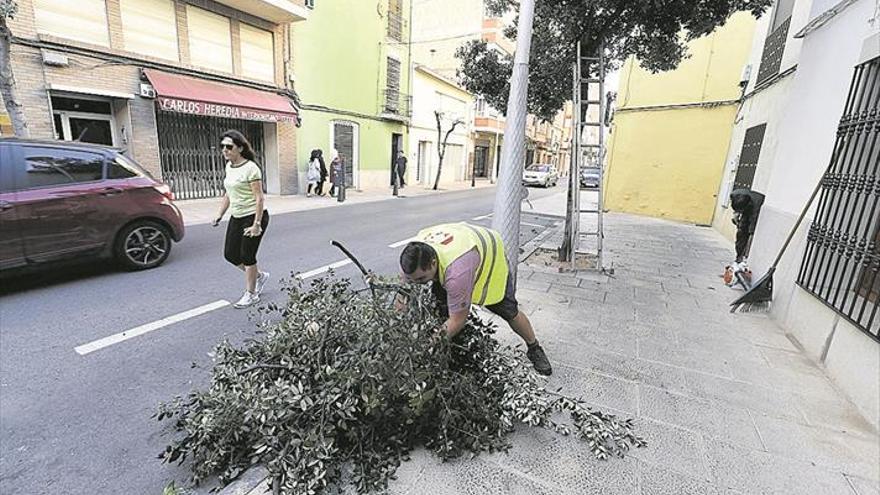 Retirarán las carrascas de la calle Pérez Bayer por la presión vecinal