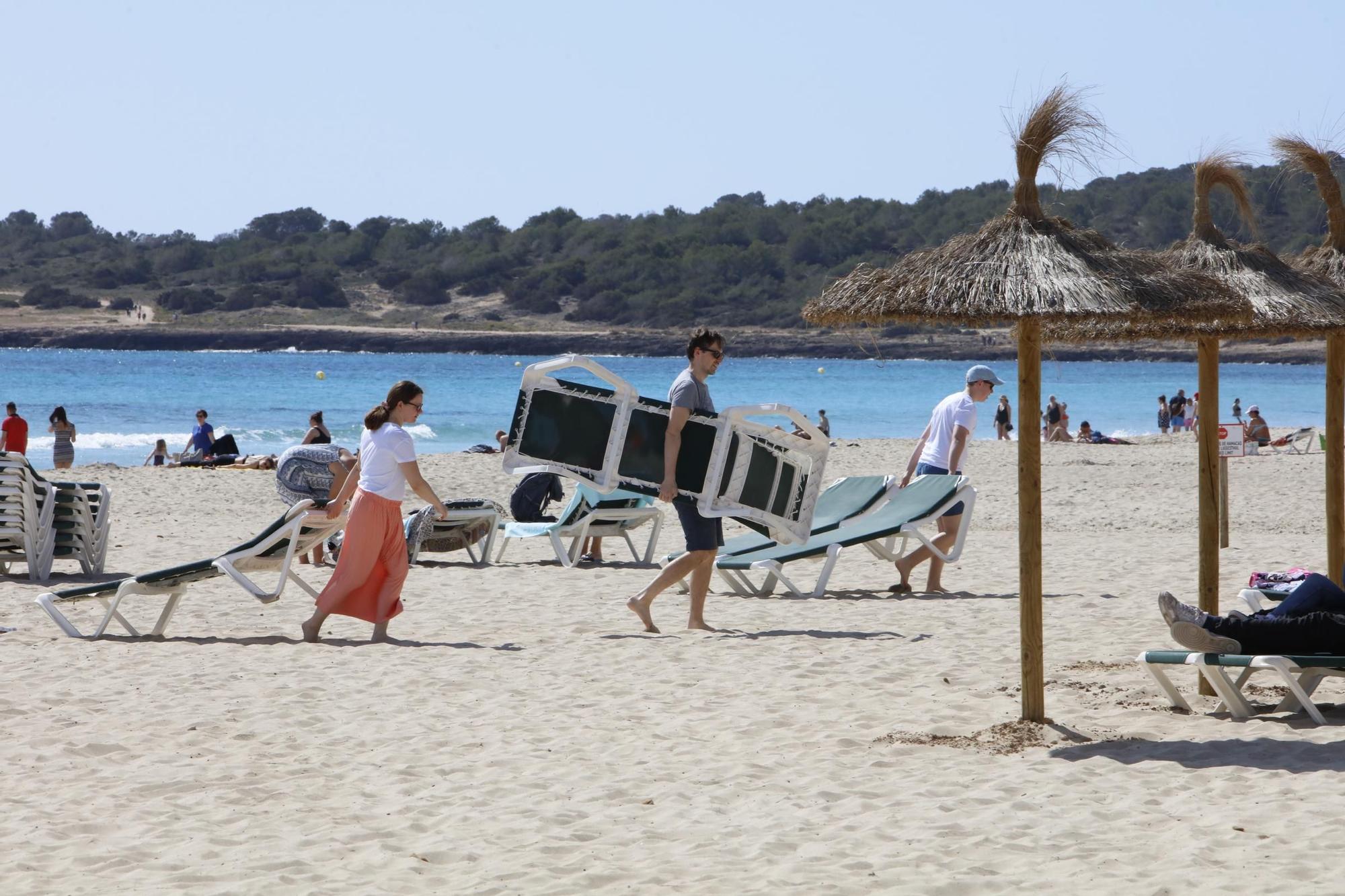 Frühlingsgefühle auf Mallorca – so sieht es gerade in Cala Millor aus