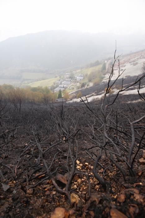 El Suroccidente asturiano arrasado por las llamas