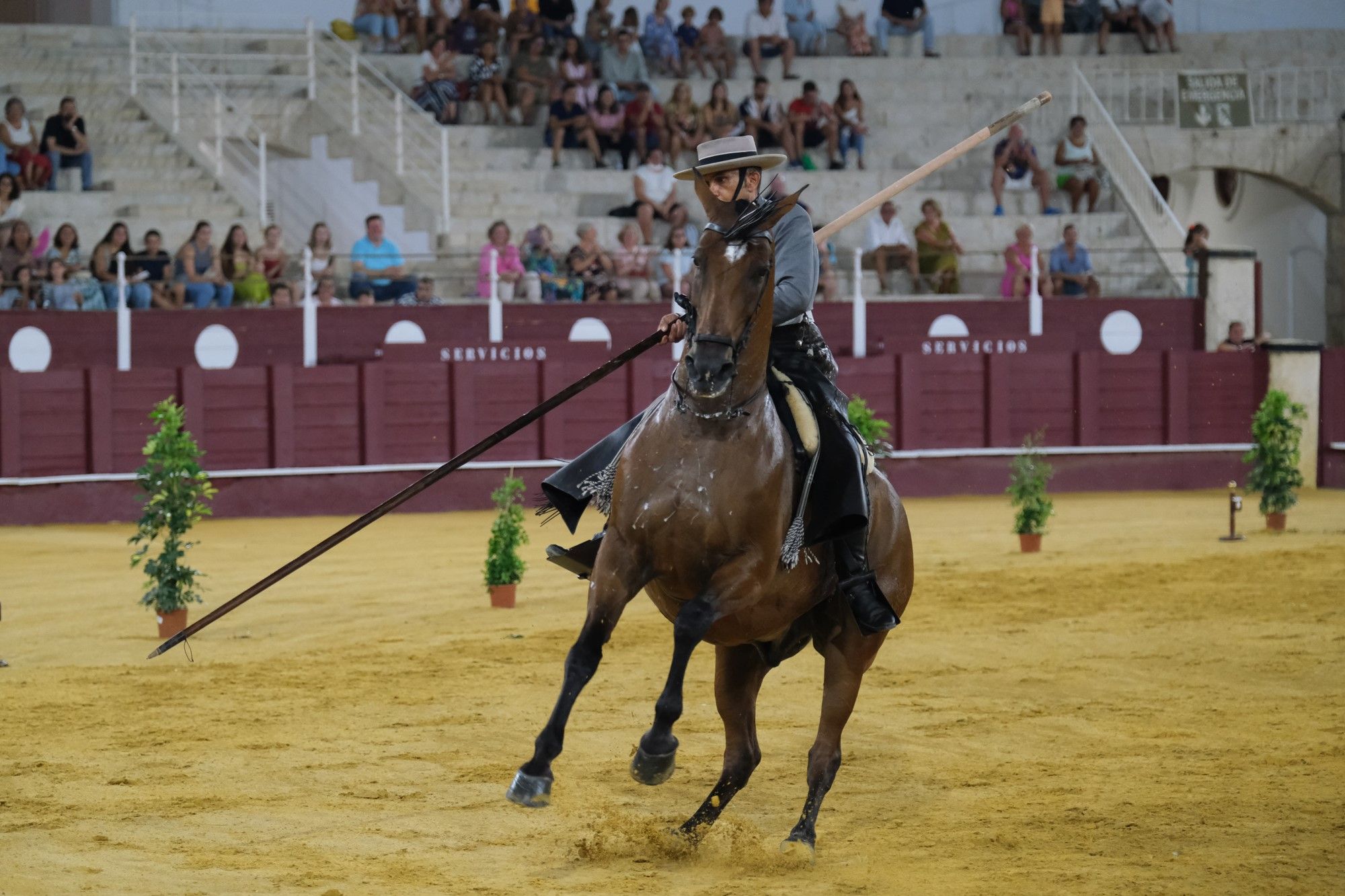 Los caballos andaluces bailan sobre el albero de La Malagueta