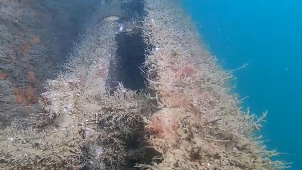 El arrecife artificial.