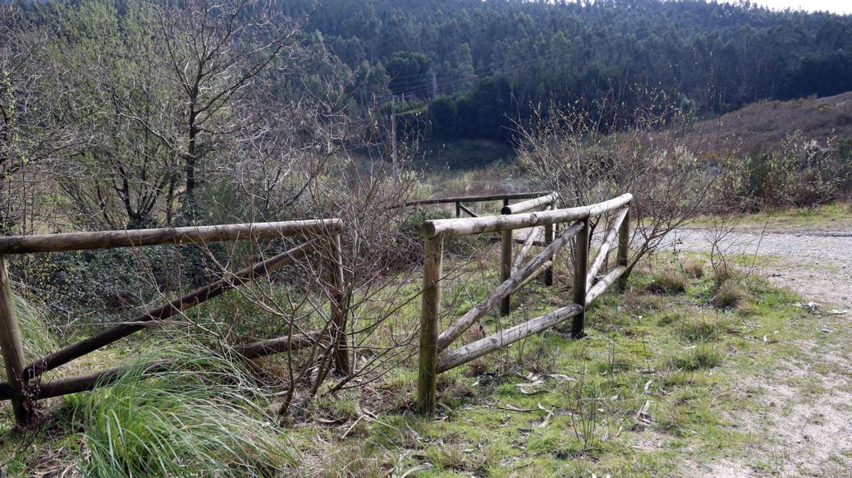 La vegetación empieza a impedir el paso por uno de los accesos al parque.