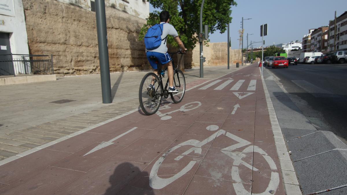 Carril bici de la avenida del Marrubial.