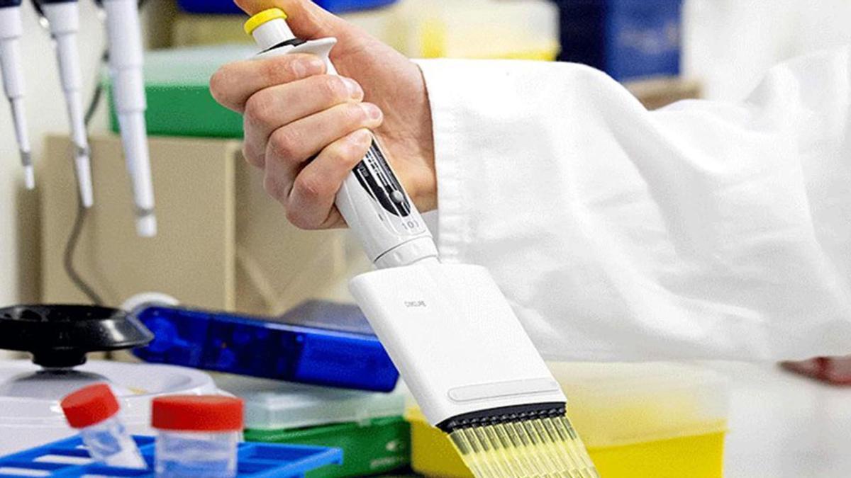 Un investigador trabaja en el laboratorio del UMC de Ámsterdam, donde se está desarrollando una vacuna contra el covid-19, el 28 de mayo